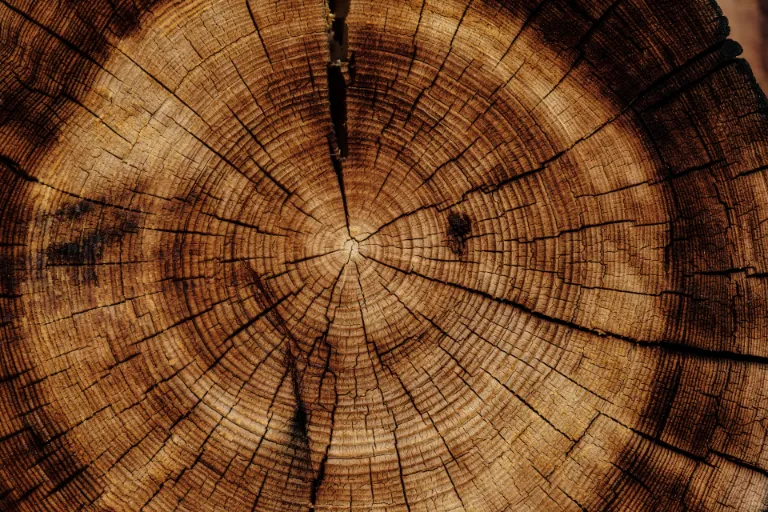 Nápady ze dřeva: Jednoduché výrobky ze dřeva pro začátečníky