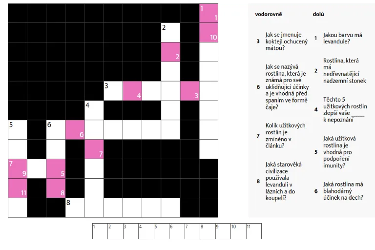 Bydlení - Těchto 5 užitkových rostlin zlepší vaše zdraví k nepoznání krizovka_bylinky