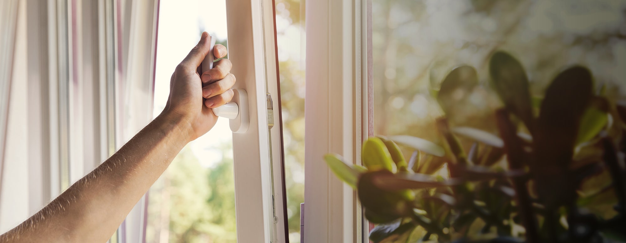 Není okno jako okno